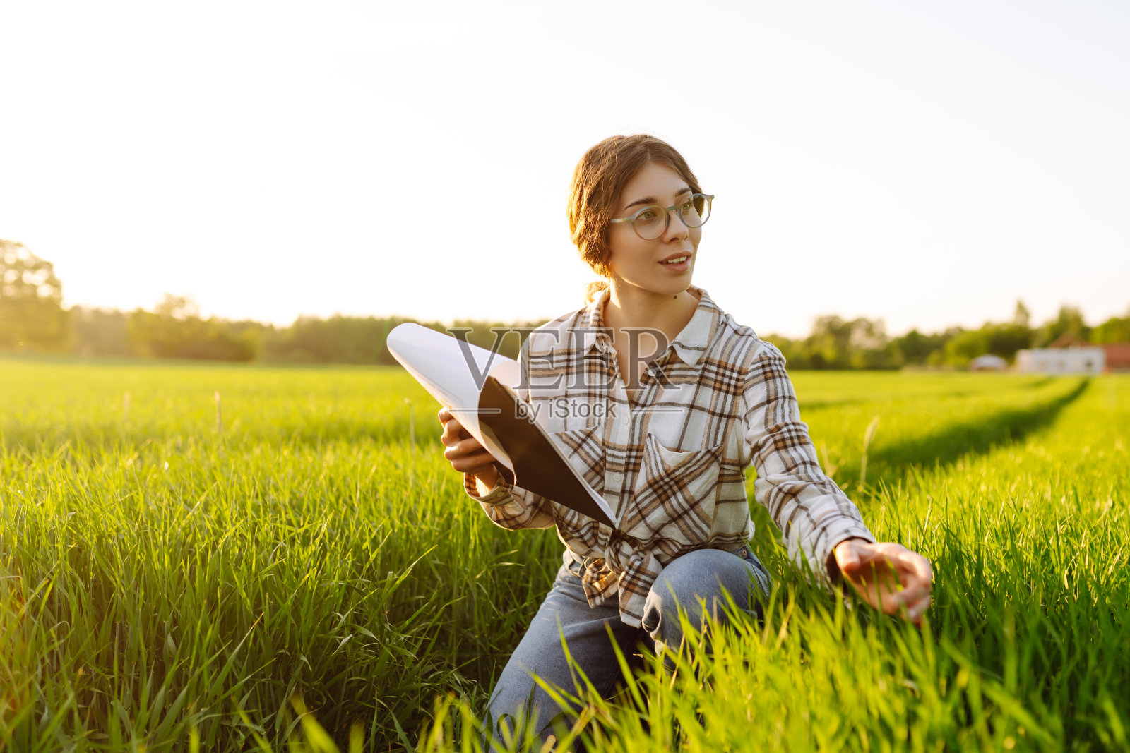 年轻的女农民正在用药片研究田里的小小麦。照片摄影图片