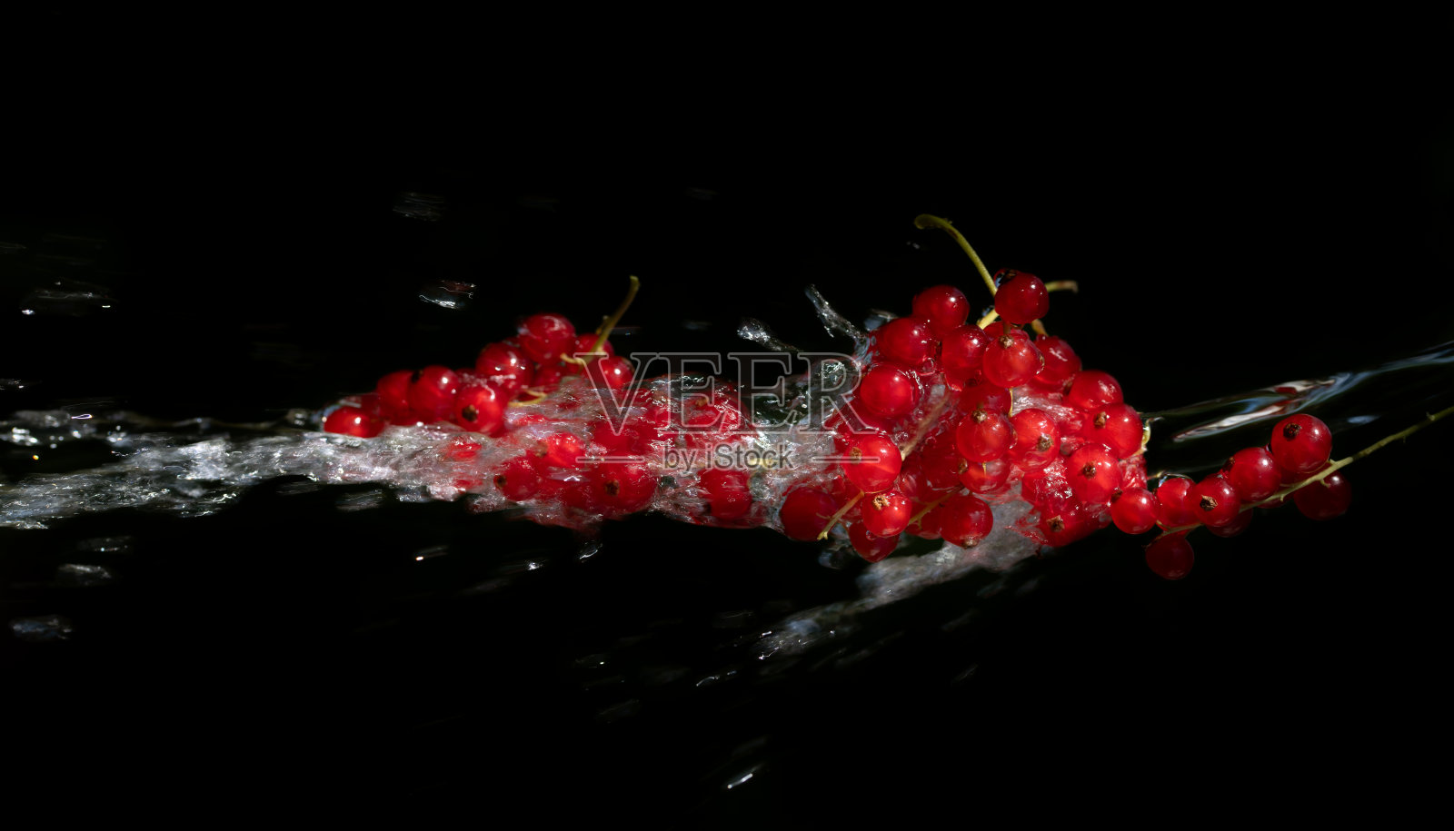 红醋栗从侧面倒入水。背景是暗的。醋栗熟了。水飞溅。照片摄影图片