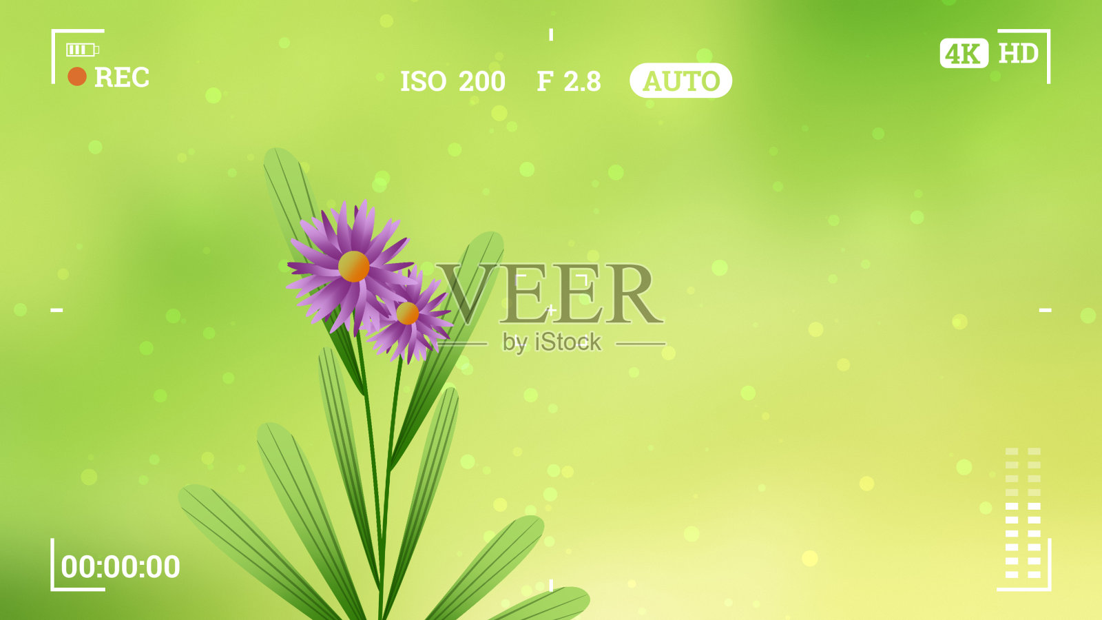 捕捉花的镜头在相机动画图像插画图片素材