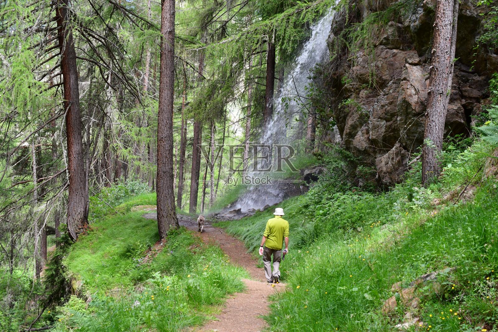 一名男子和他的Lagotto Romagnolo狗在蒂罗尔的Sölden徒步旅行照片摄影图片