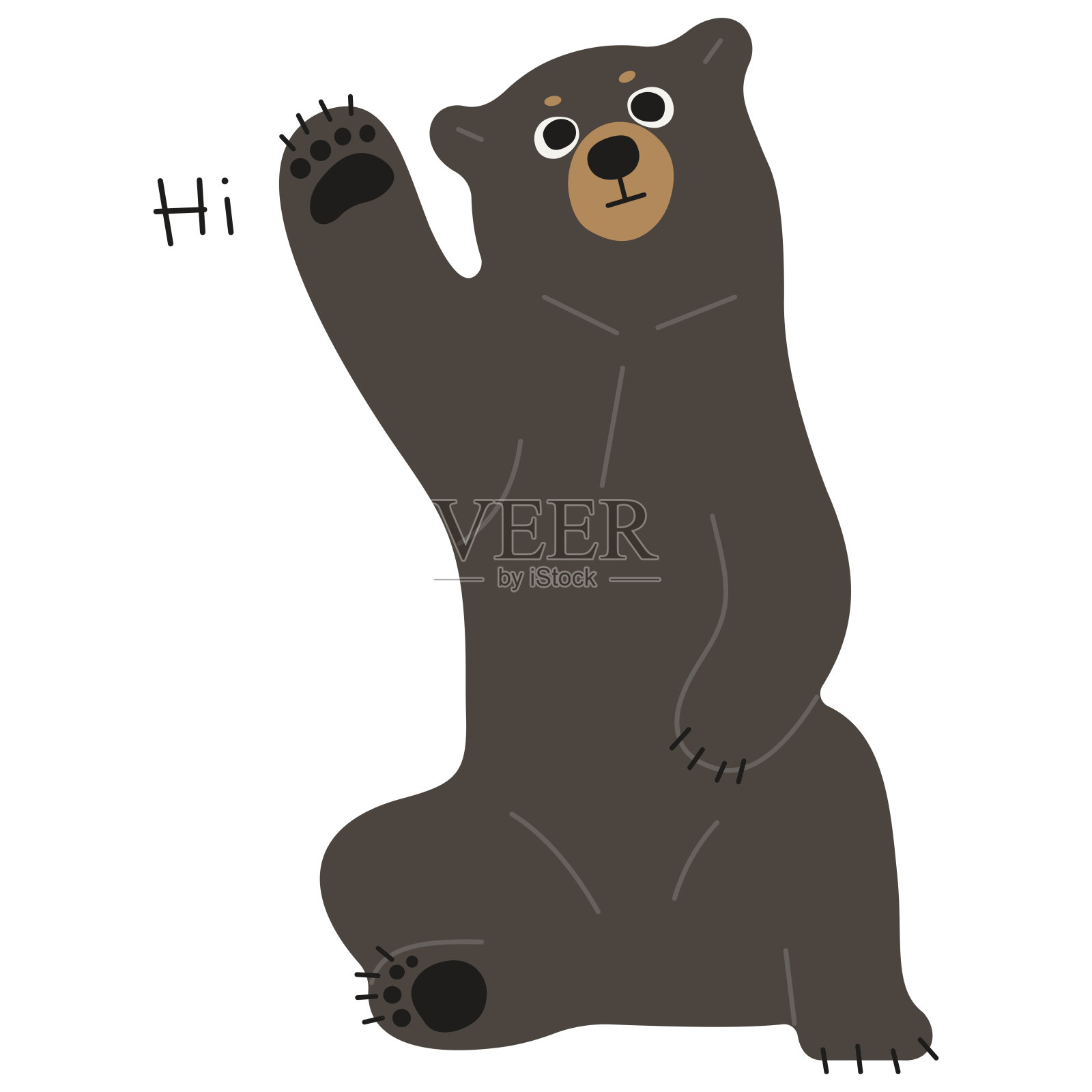 美国黑熊单人36插画图片素材