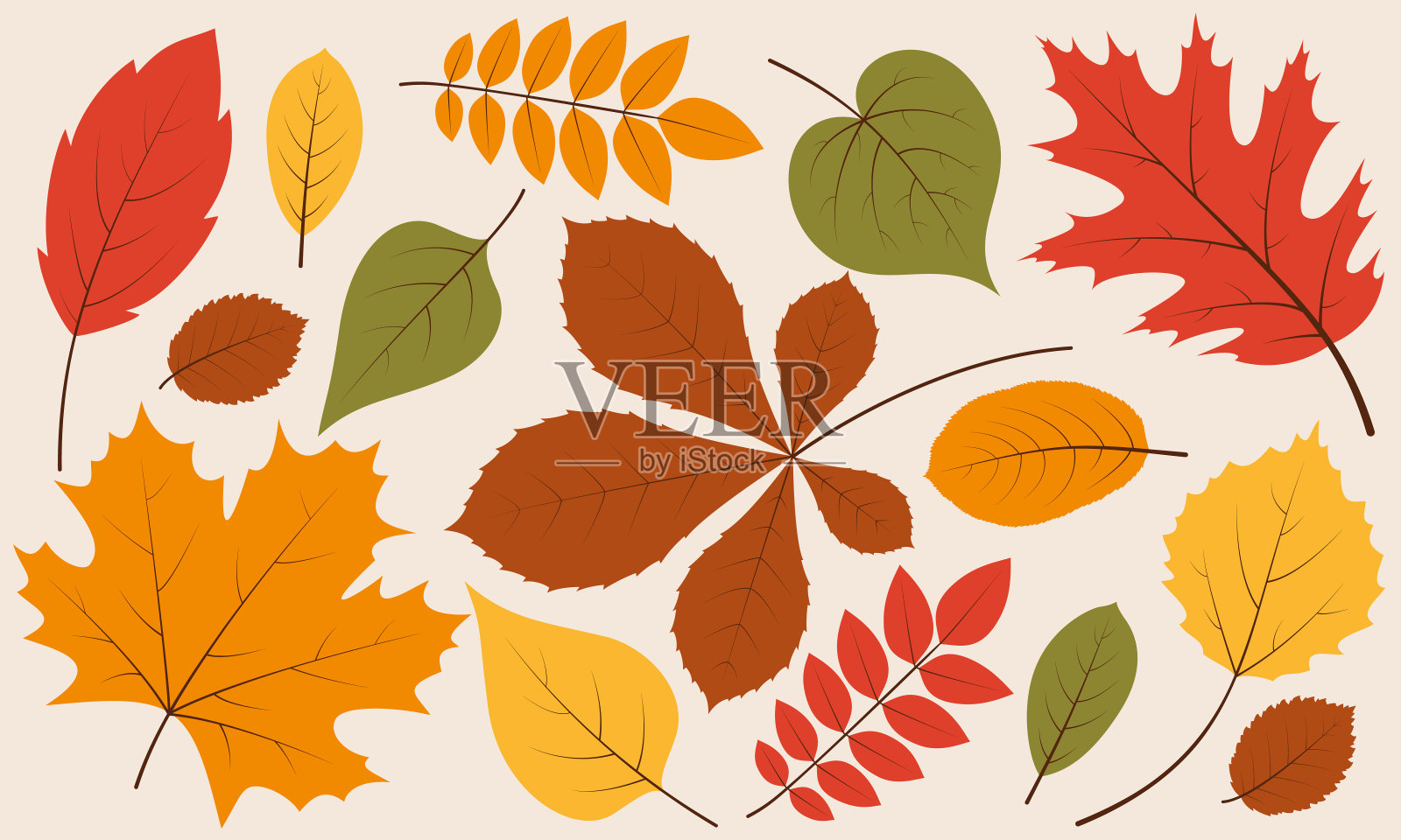 秋叶落插画图片素材