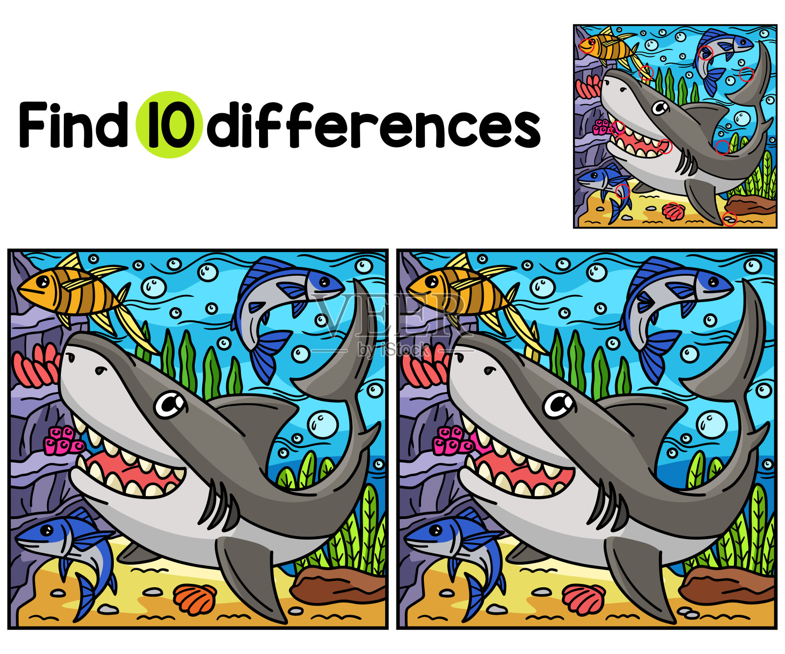 大白鲨动物发现差异插画图片素材
