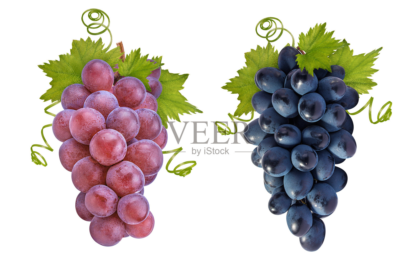 葡萄孤立在白色背景上照片摄影图片