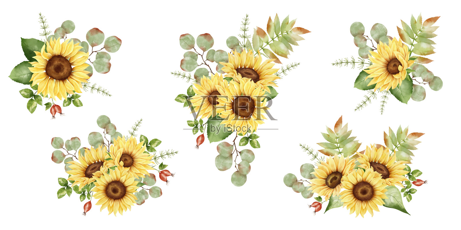 水彩向日葵和绿色花束集插画图片素材