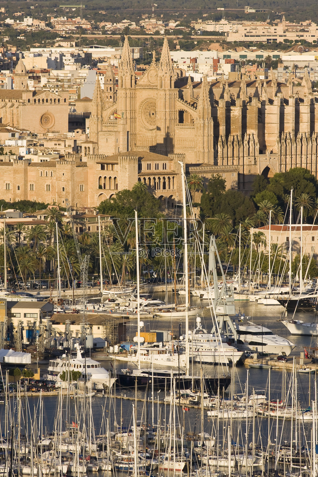 海港，老城区和大教堂，帕尔马，马略卡岛，西班牙，欧洲照片摄影图片