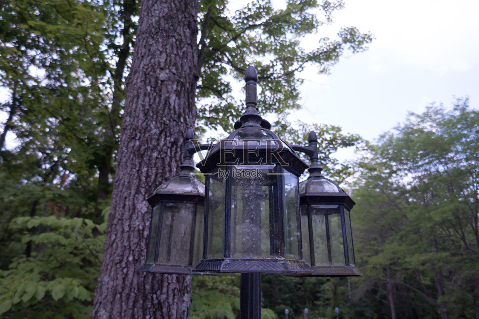 自然公园区域户外灯杆玻璃及金属装饰灯照片摄影图片