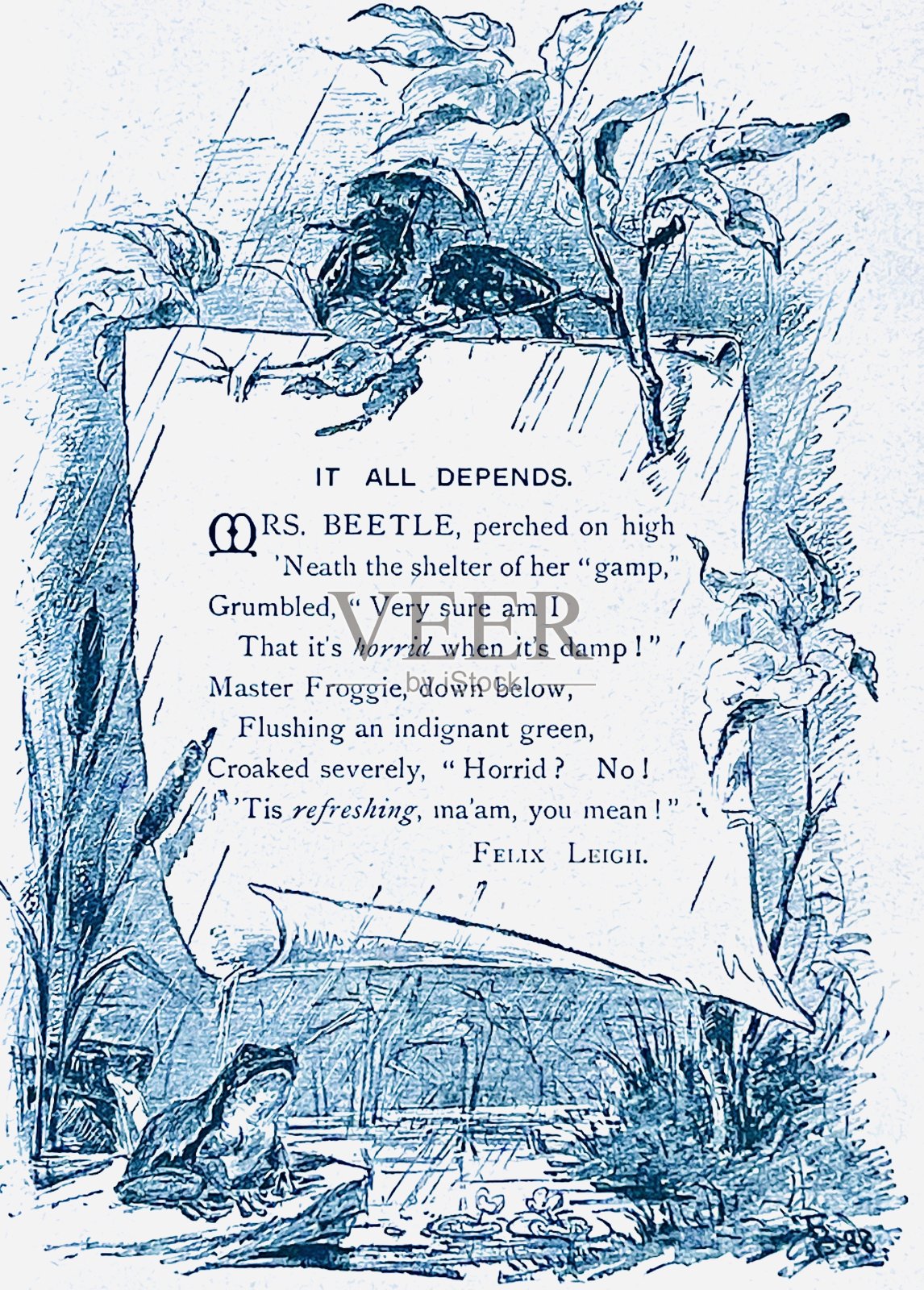 青蛙和甲虫在谈话插画图片素材