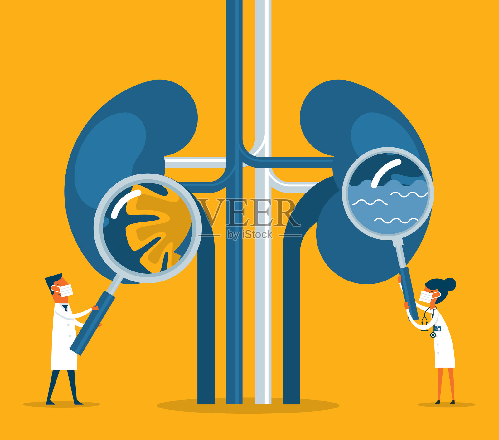 肾脏插画图片素材