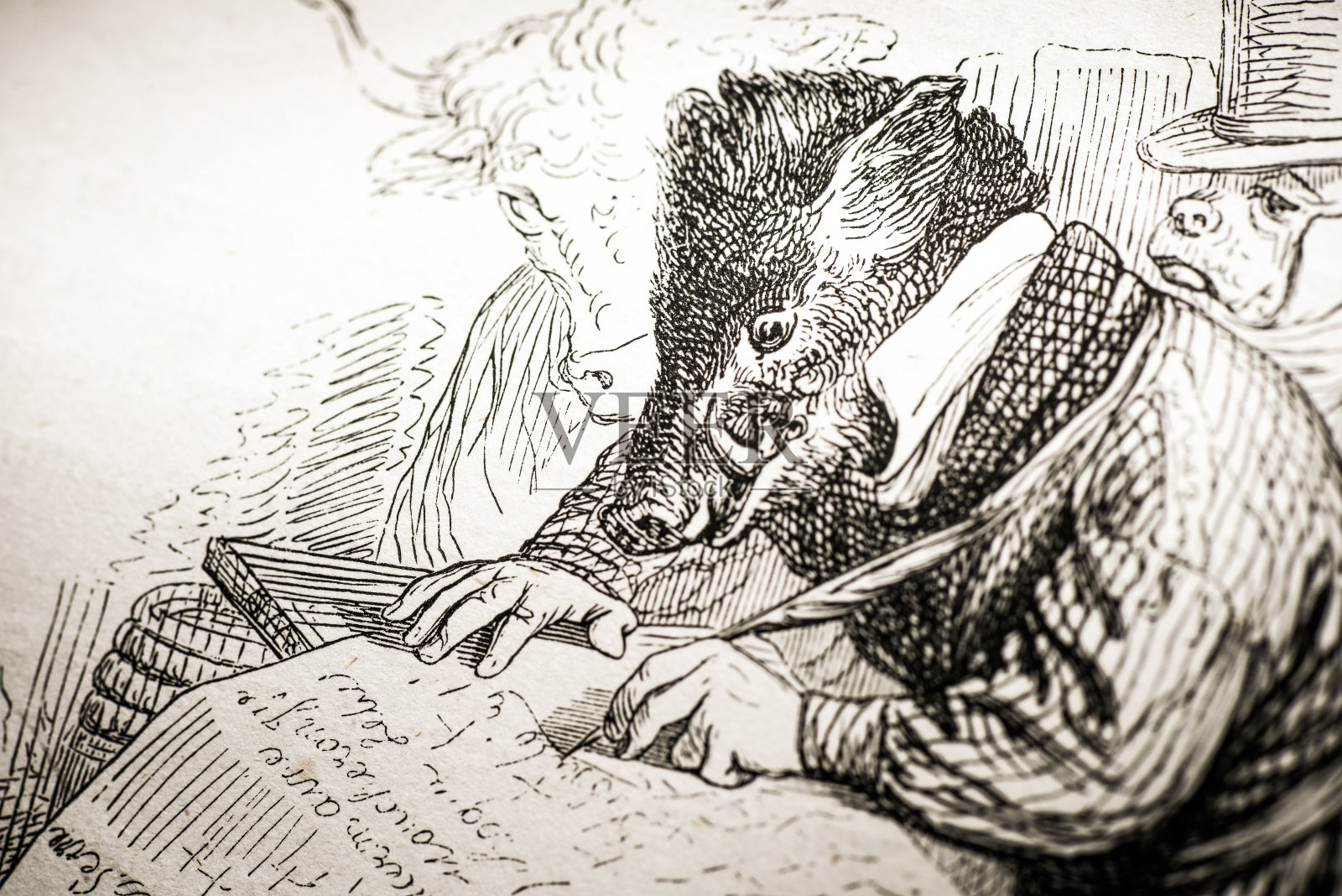 人性化的动物插图:野猪签名请愿书插画图片素材