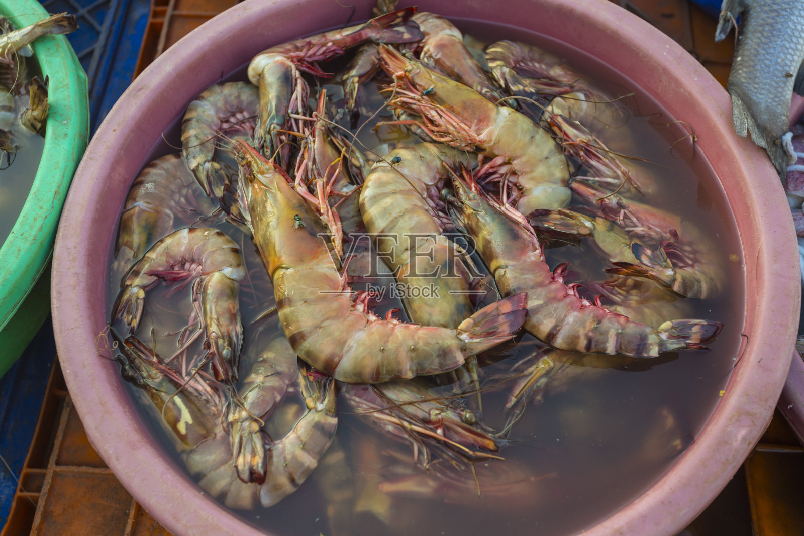印度市场的虾类销售照片摄影图片