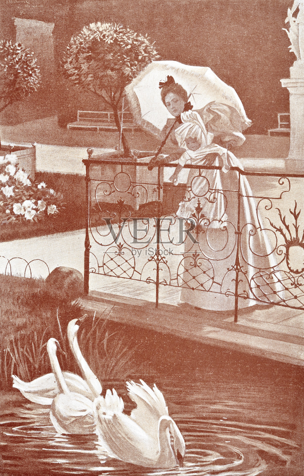 拿着阳伞的女人站在天鹅湖边插画图片素材