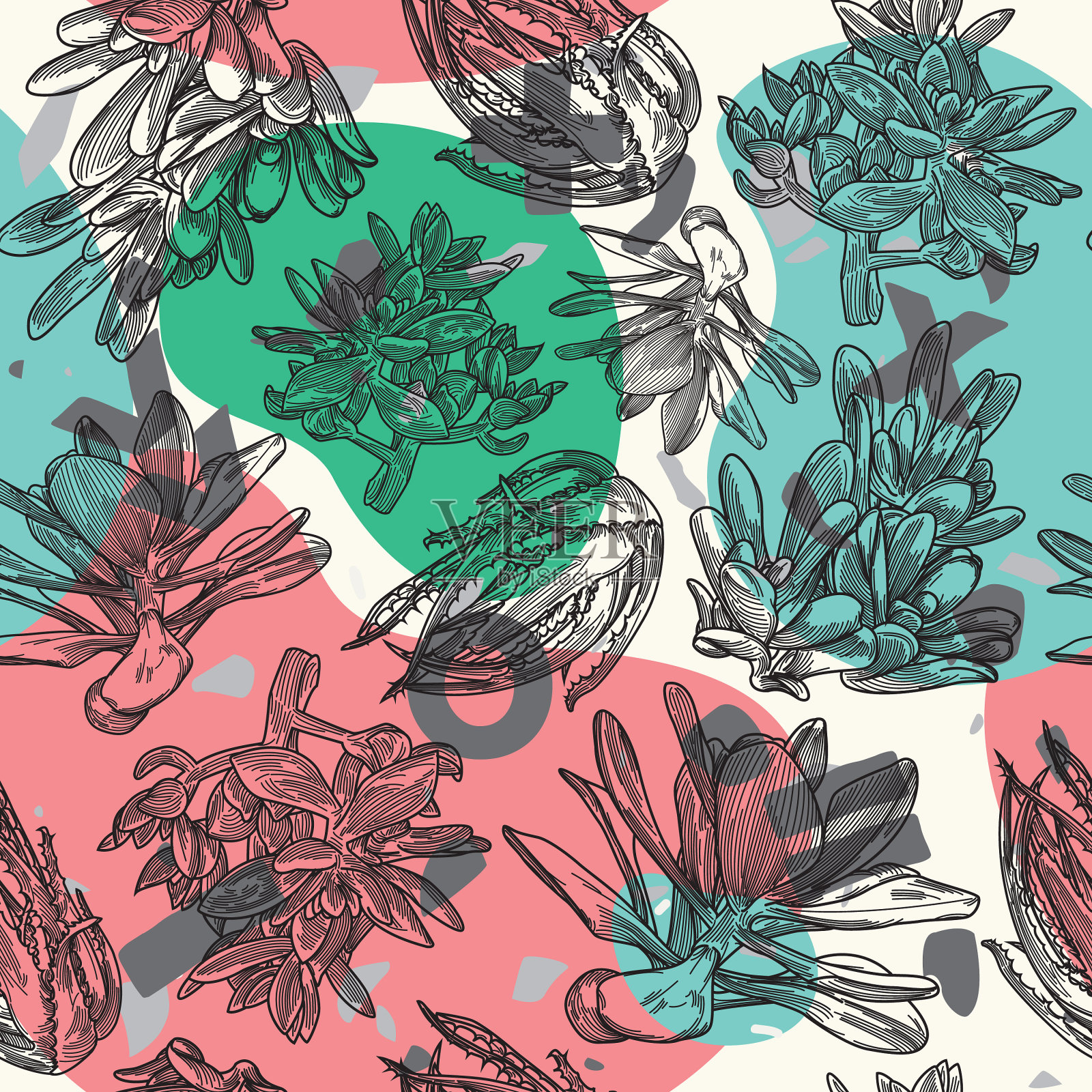 肉质植物无缝斑点图案插画图片素材