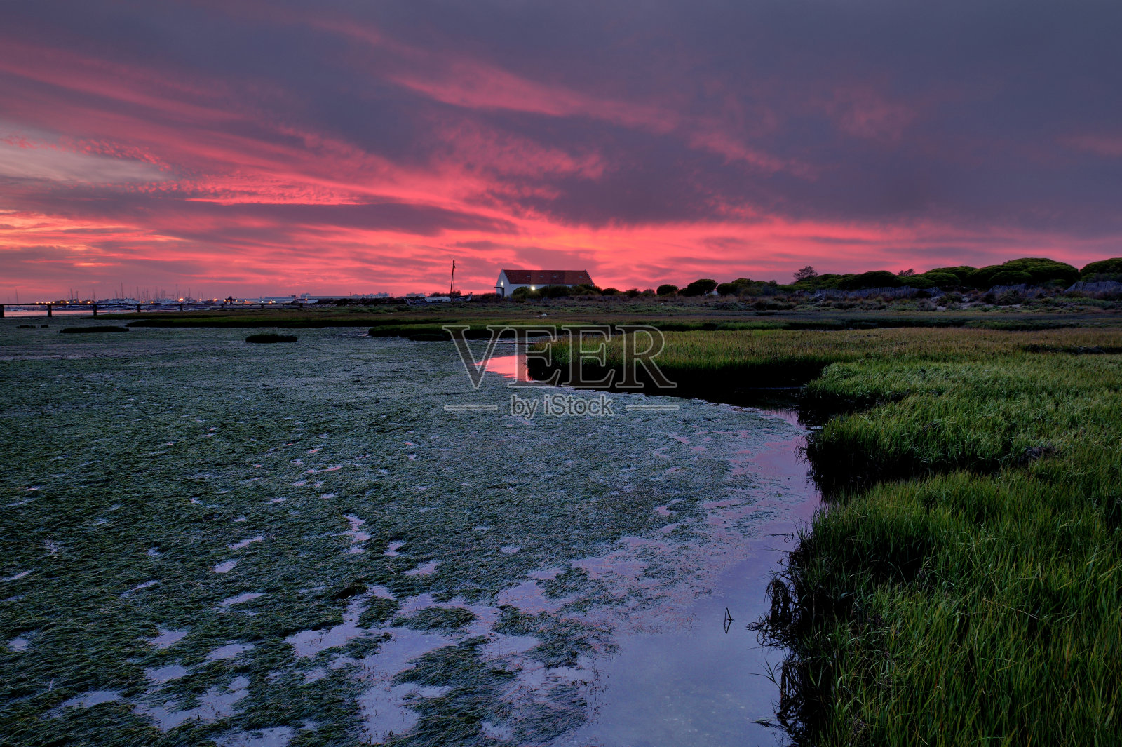 绿色世界，Ria formosa, olhao, algarve，葡萄牙照片摄影图片
