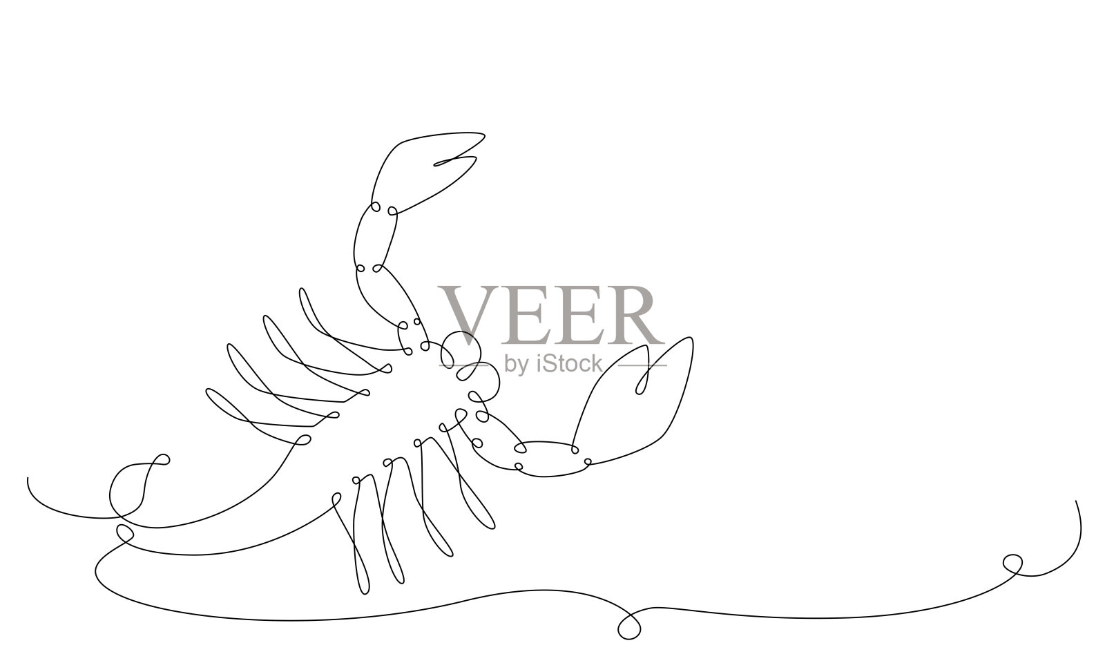 天蝎座星座单手画续线。插画图片素材