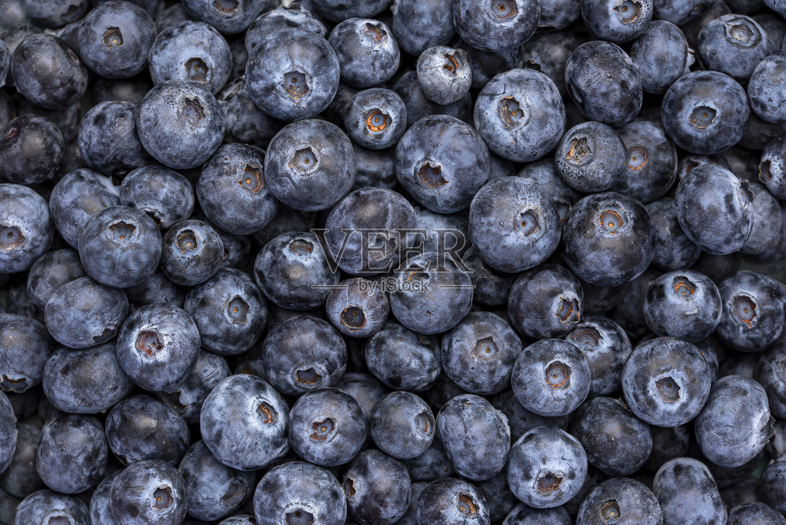 蓝莓的微距食物摄影照片摄影图片