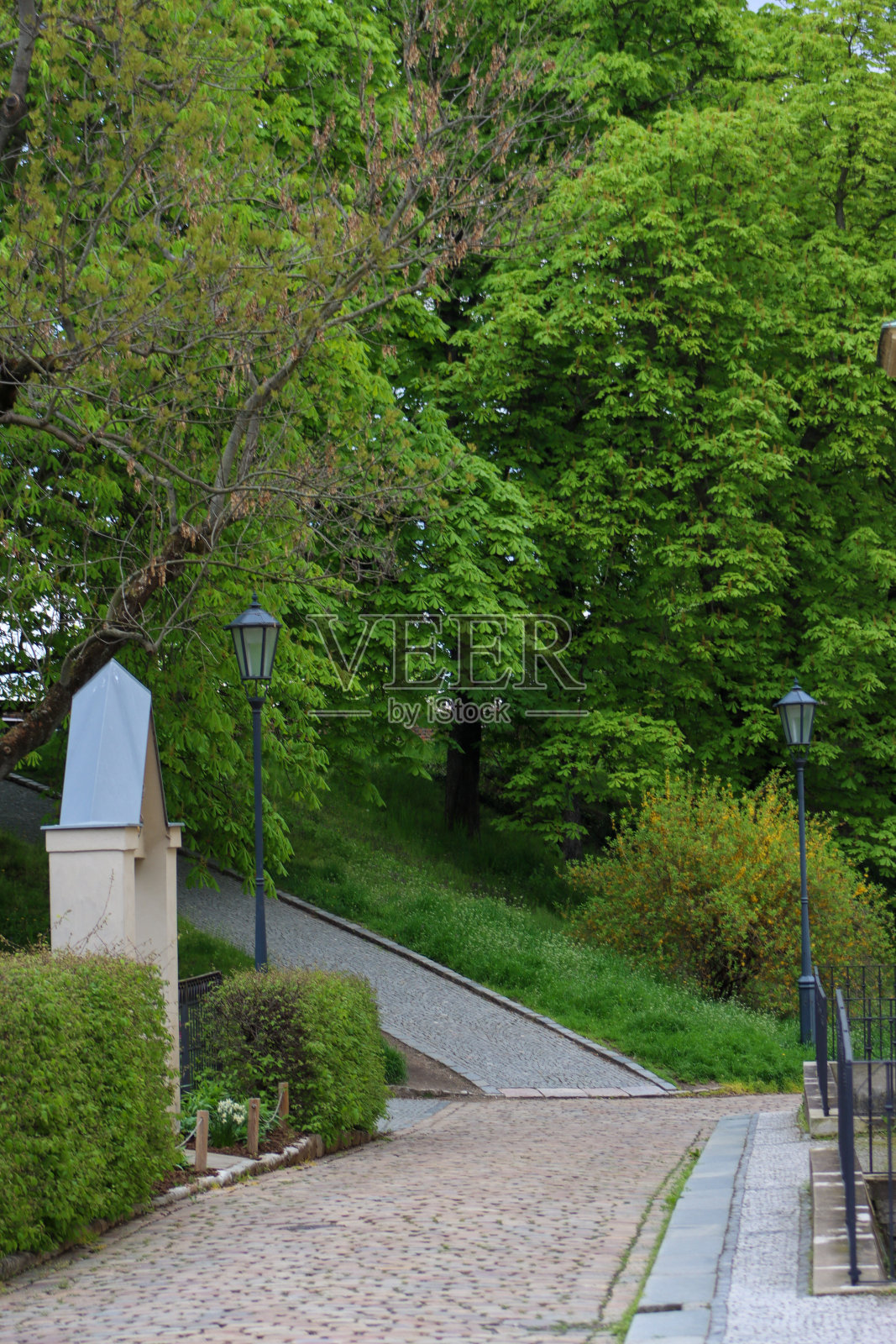 布拉格公园照片摄影图片