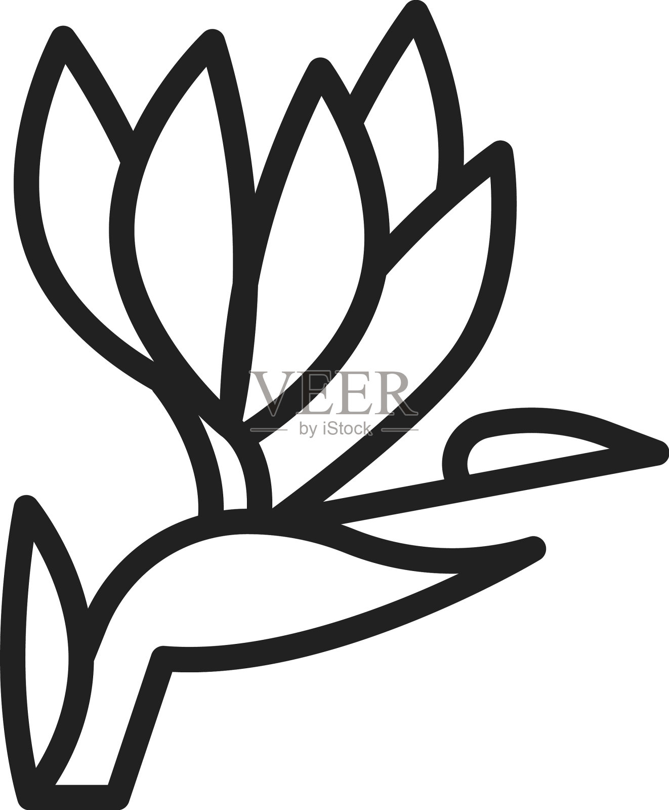 天堂鸟的图标图像插画图片素材