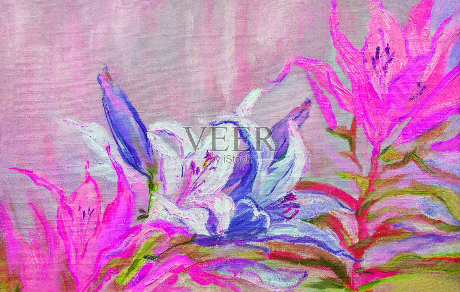 插画艺术作品油画风景盛开的白色百合花插画图片素材