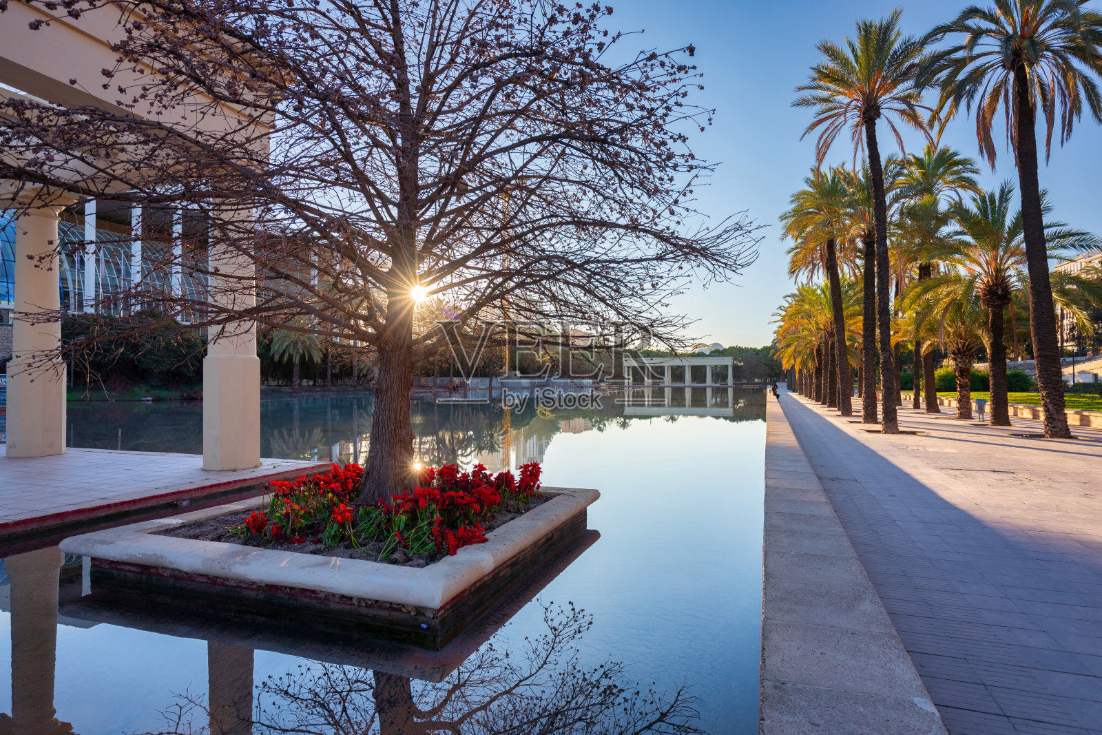 西班牙巴伦西亚日出时图里亚公园的美丽景色照片摄影图片