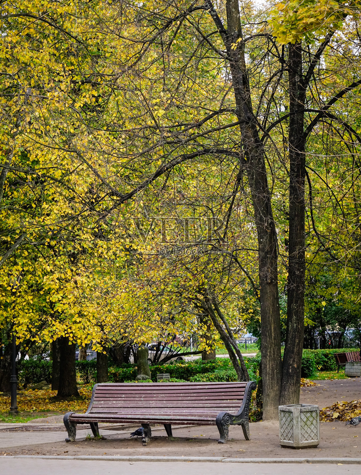 俄罗斯维堡的秋天公园照片摄影图片