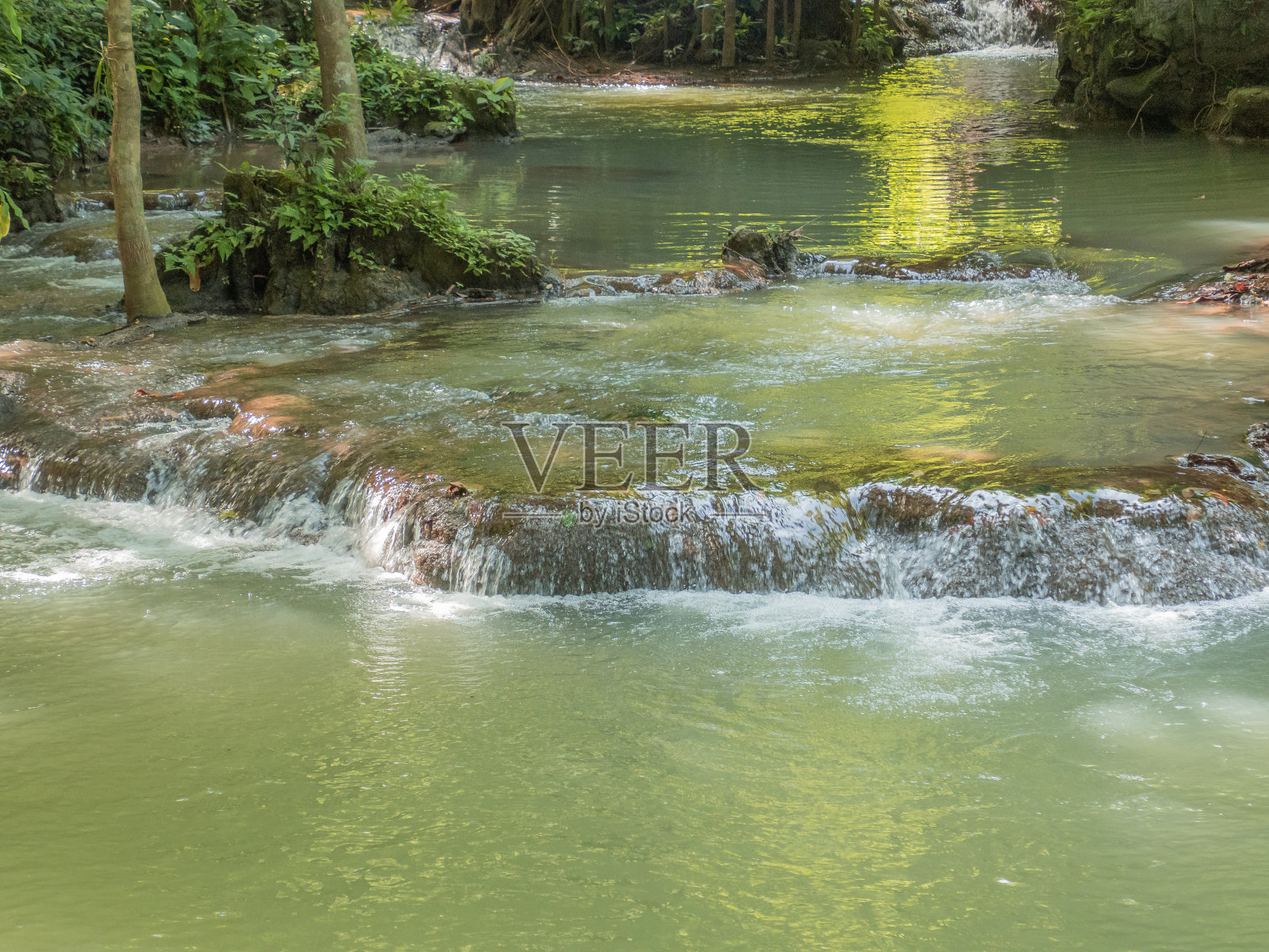 森林里的瀑布。照片摄影图片