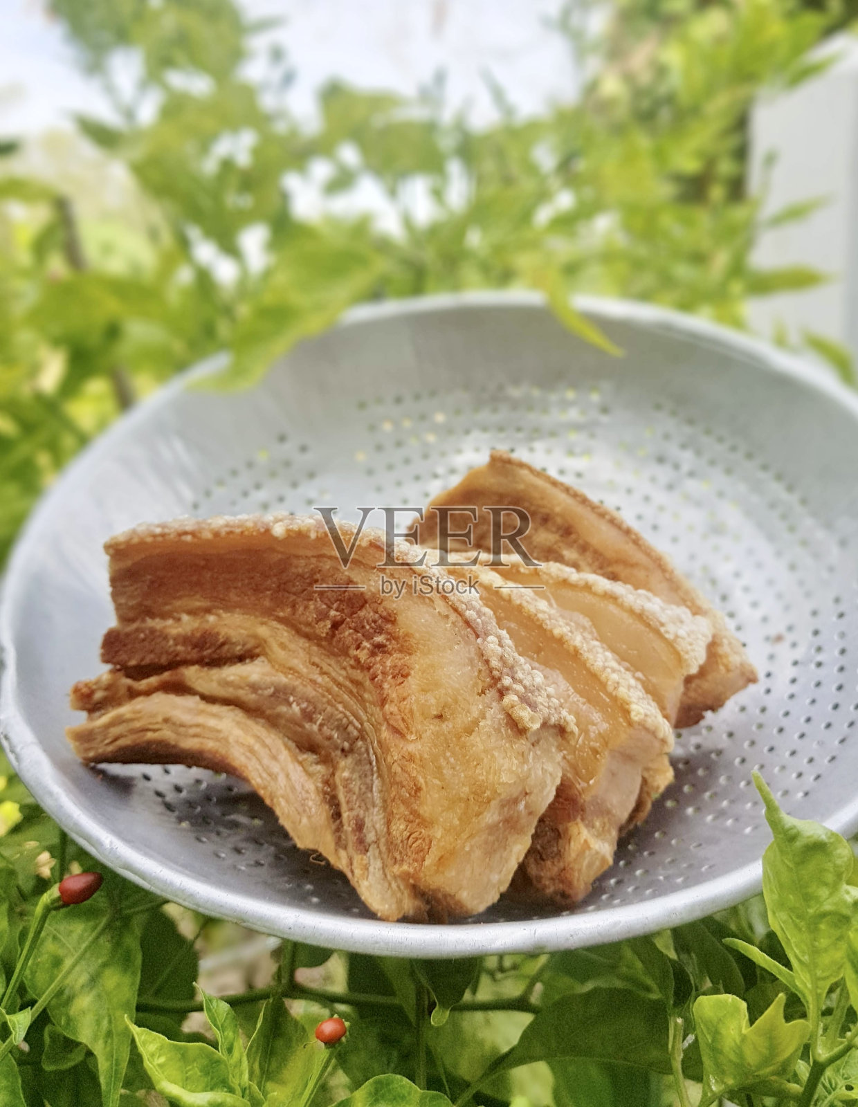 桌上摆着一盘食物，背景是一棵植物。照片摄影图片