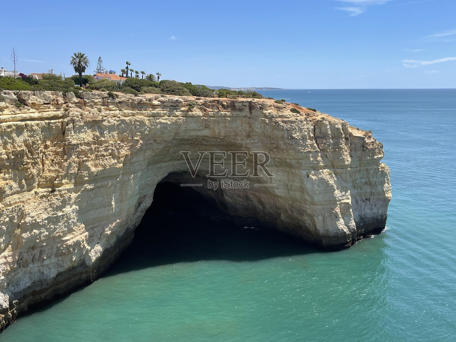 海熊照片摄影图片