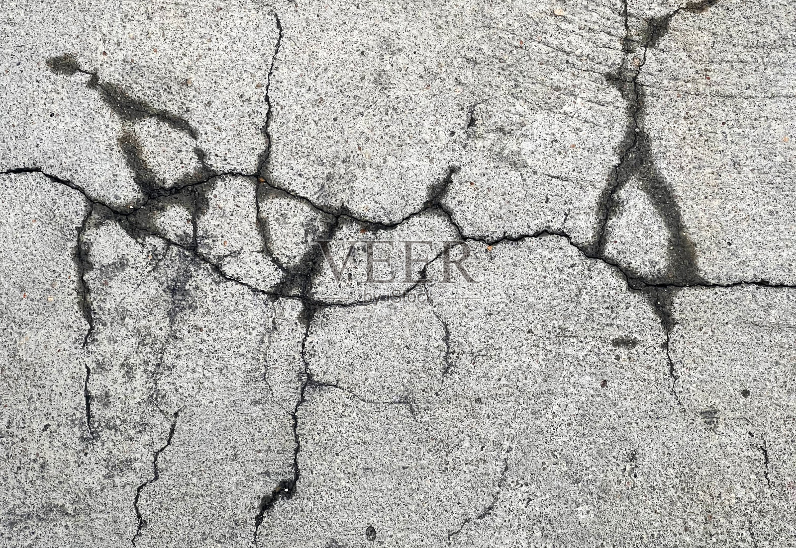 混凝土墙裂缝上的线虫。照片摄影图片