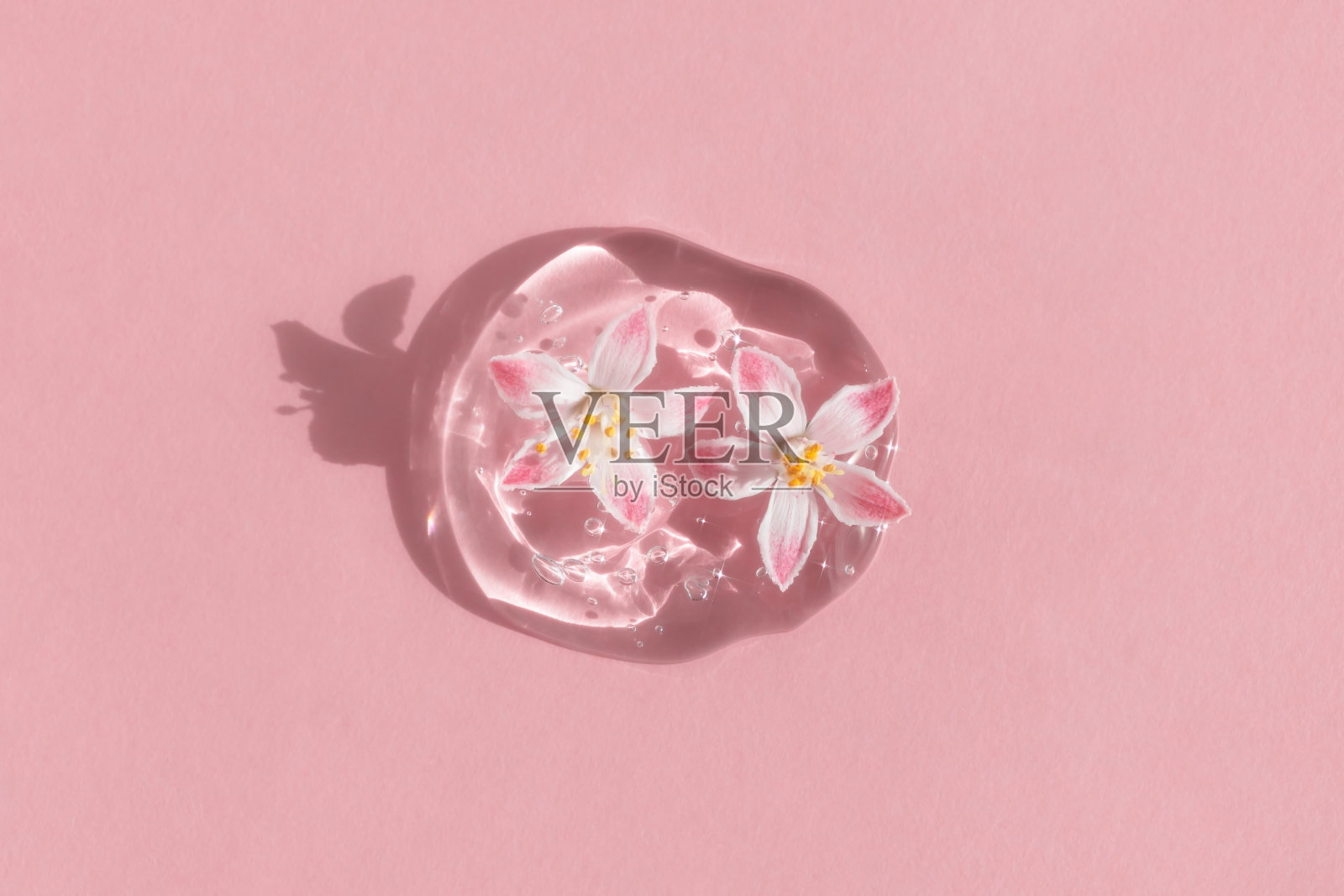 一滴透明的化妆品凝胶或含有透明质酸的精华液，粉红色的背景上有粉红色的花朵。天然化妆品的概念。前视图。照片摄影图片