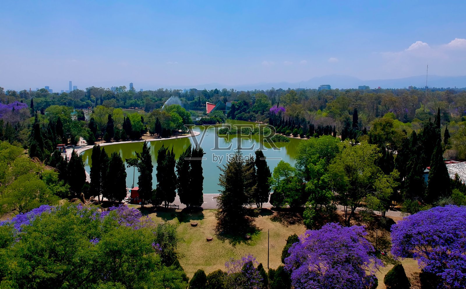 航拍的一个令人惊叹的喷泉，周围是郁郁葱葱的树木和充满活力的蓝花楹在前景照片摄影图片