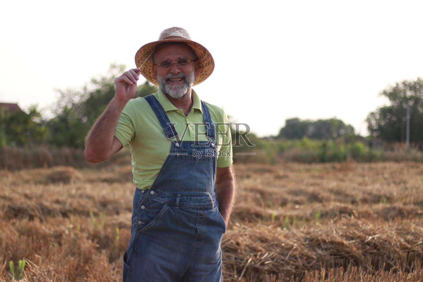 一位上了年纪的农民正在田里处理干草照片摄影图片
