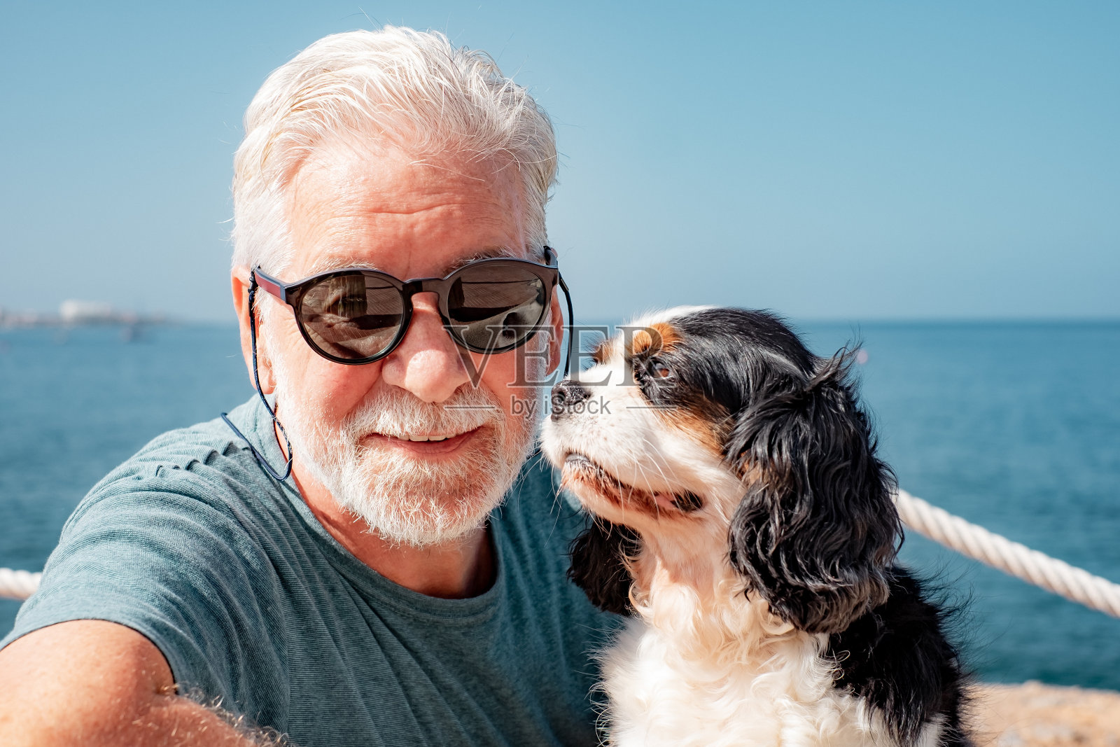 老人的特写肖像坐在靠近海滩与他的骑士查尔斯国王的狗。永远的好朋友概念。海面地平线照片摄影图片