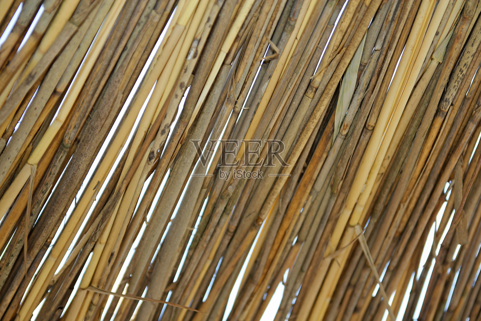 藤条纹理的近景照片摄影图片