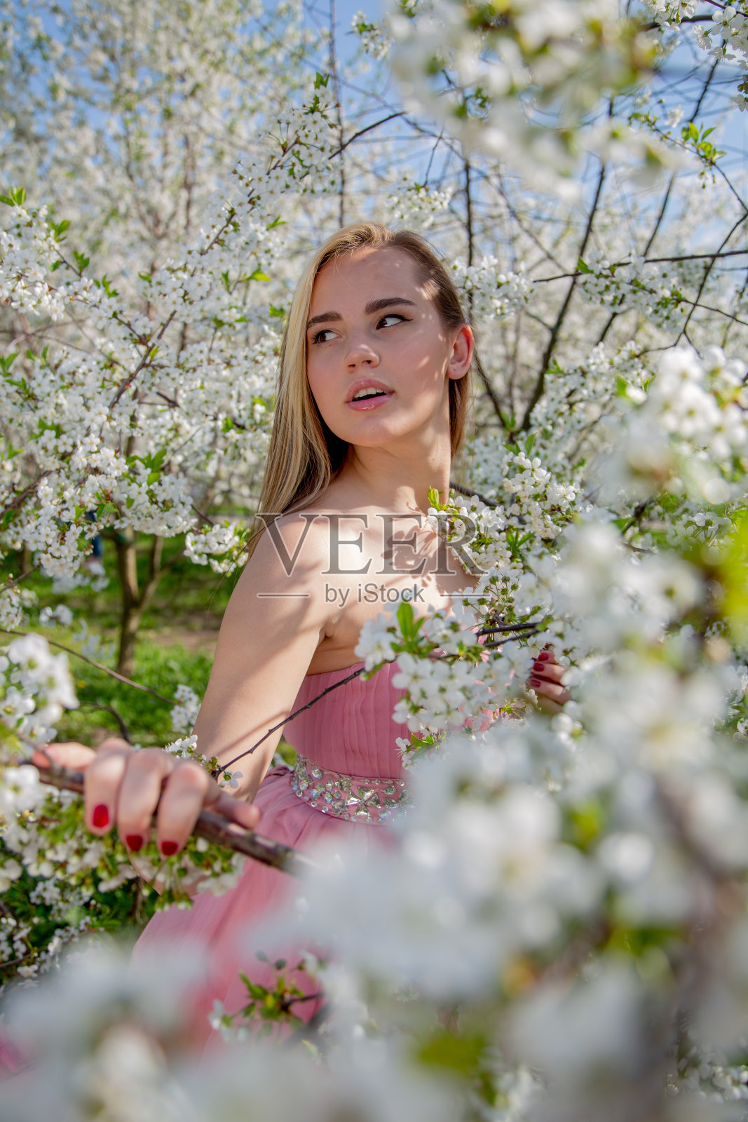 在盛开的花园里给女孩画像。开花的树木，传统的亚洲人，旅游，季节性的四月背景。照片摄影图片