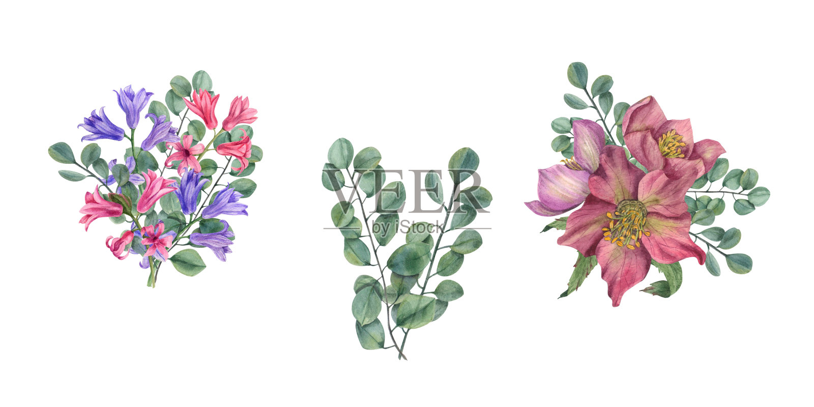 水彩花束与hellebores，桉树树枝，风信子。植物插图的春天花孤立在白色。婚礼请柬、生日贺卡的构图插画图片素材