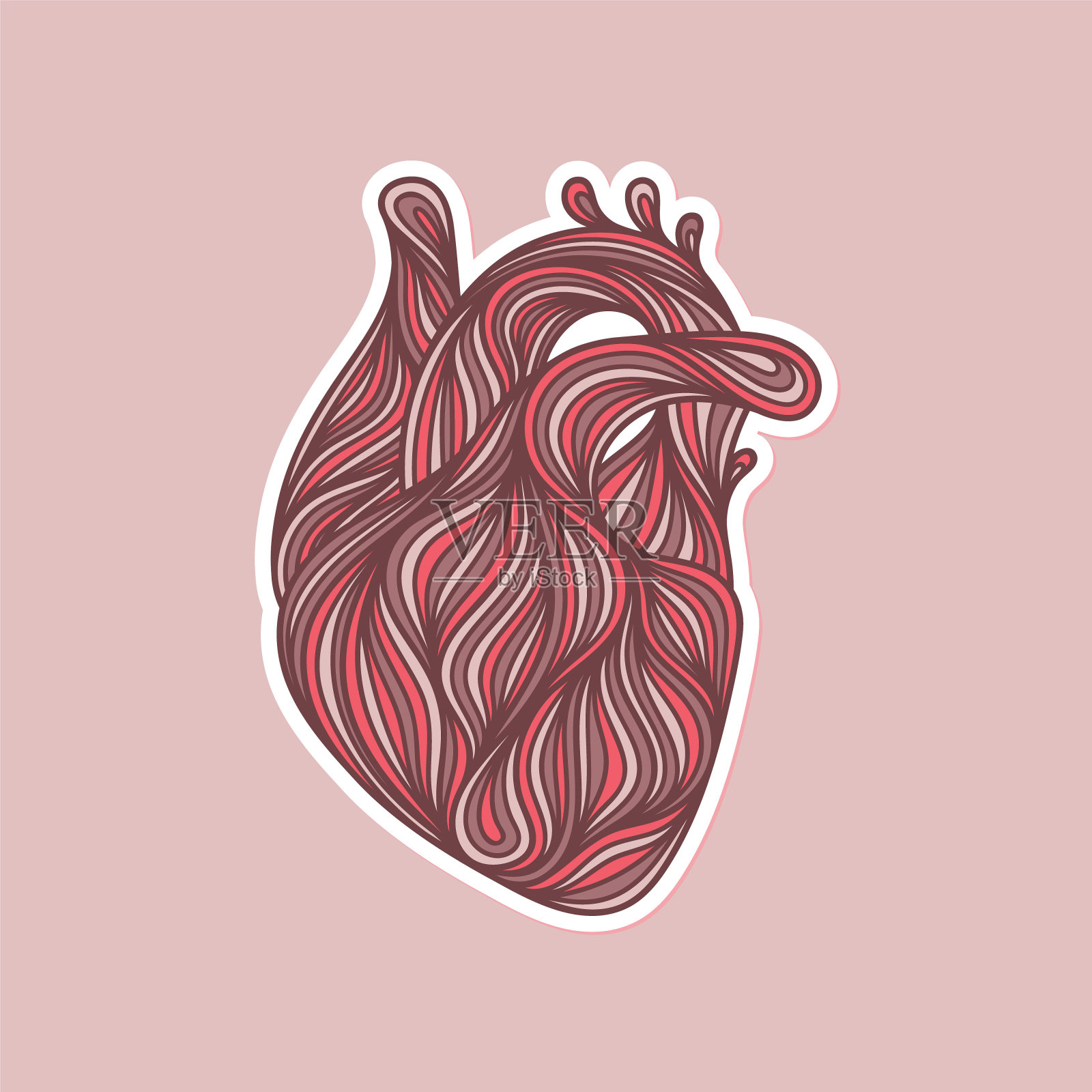 人的心脏插画图片素材