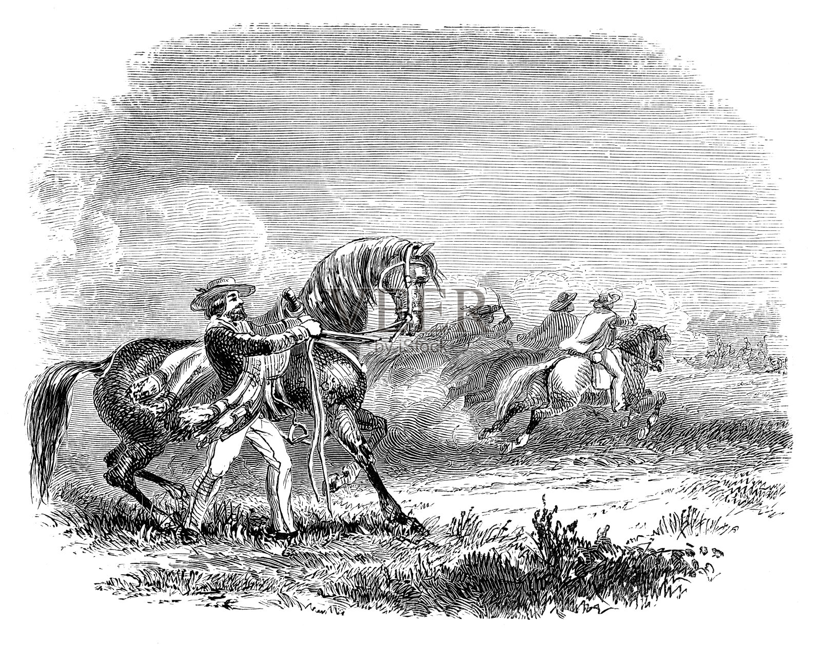 牛仔在阿根廷插画图片素材