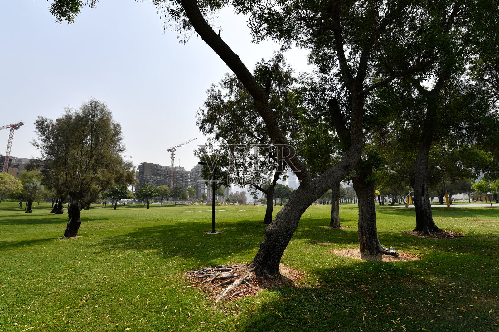 萨法公园照片摄影图片