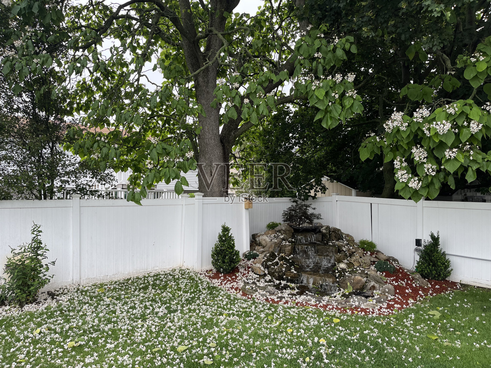 Pondless瀑布照片摄影图片