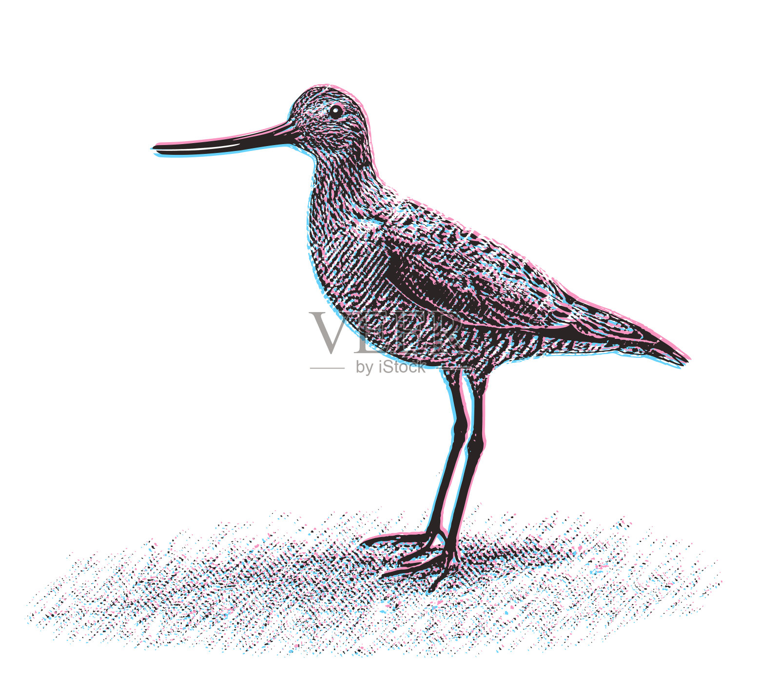 神鸟在白色背景上用故障技术切割插画图片素材