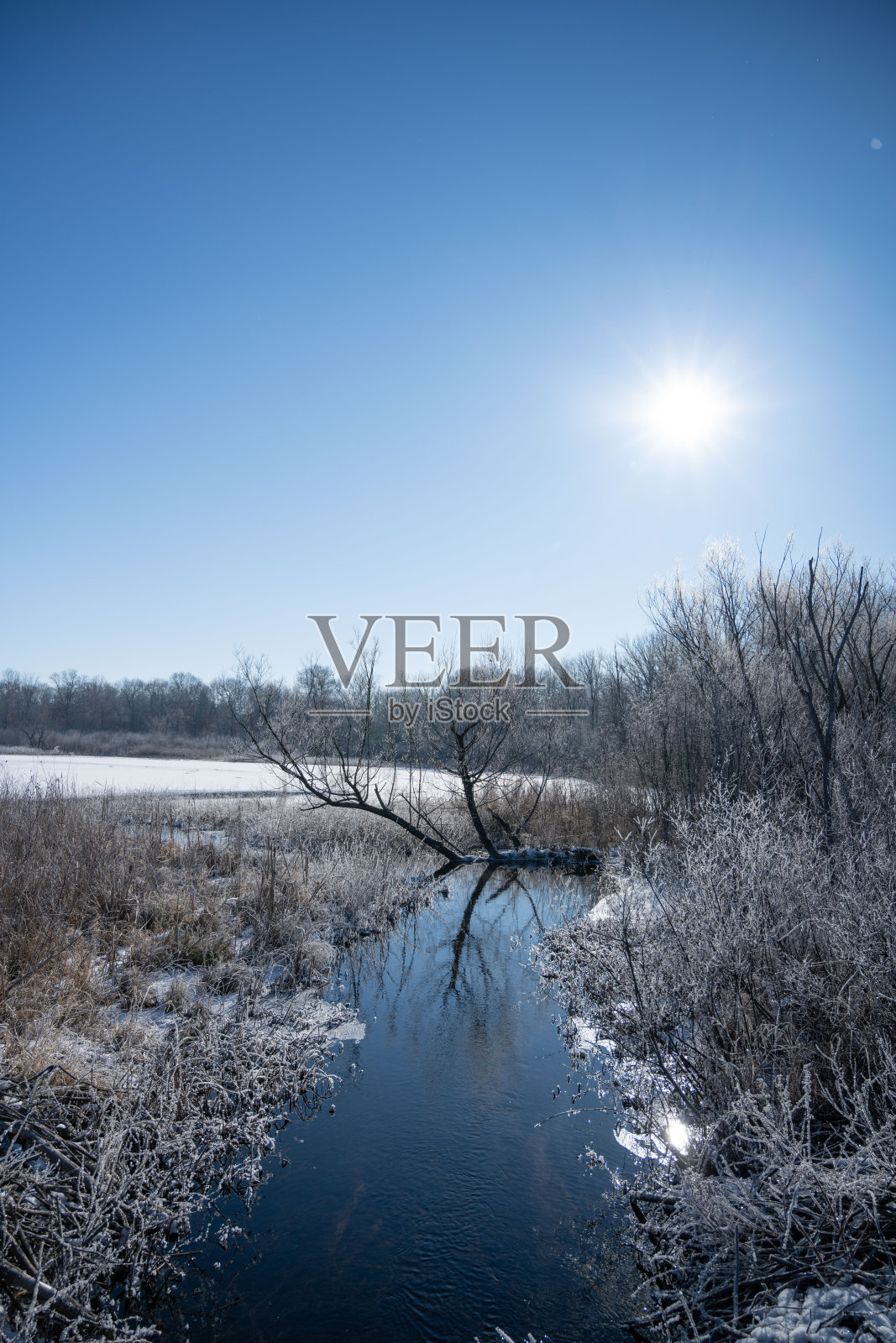 寒冷的早晨照片摄影图片