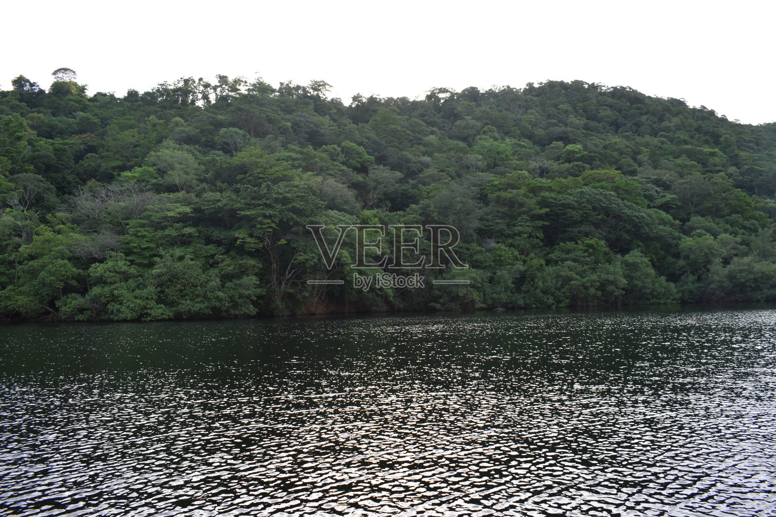 苏格兰湾，特立尼达和多巴哥照片摄影图片