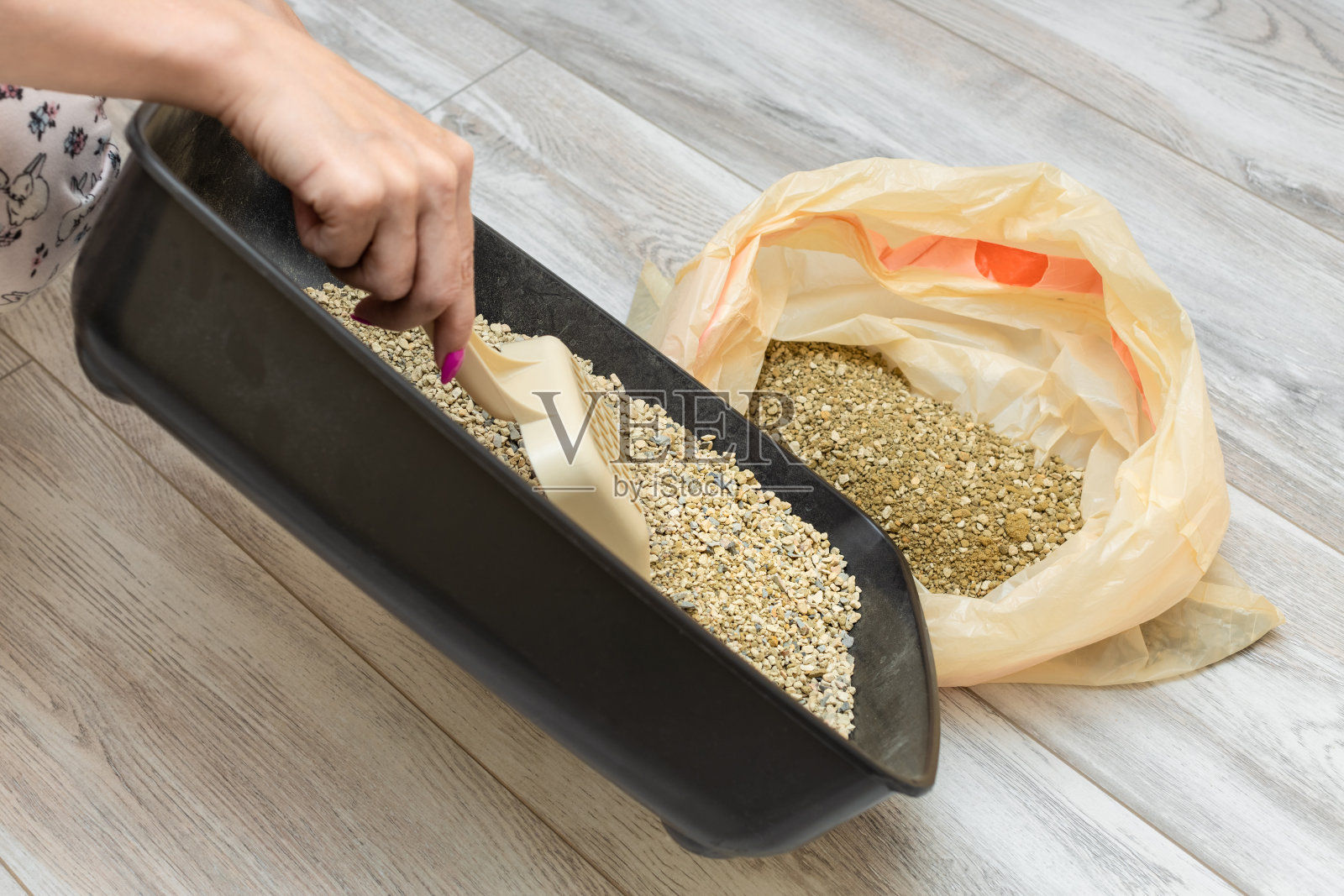 一名妇女将用过的猫砂倒进垃圾袋。照片摄影图片