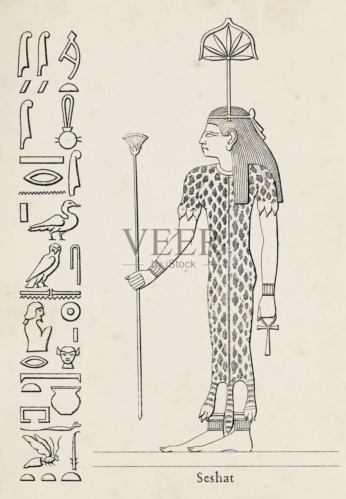 古埃及建筑女神萨莎特的象形文字插画图片素材
