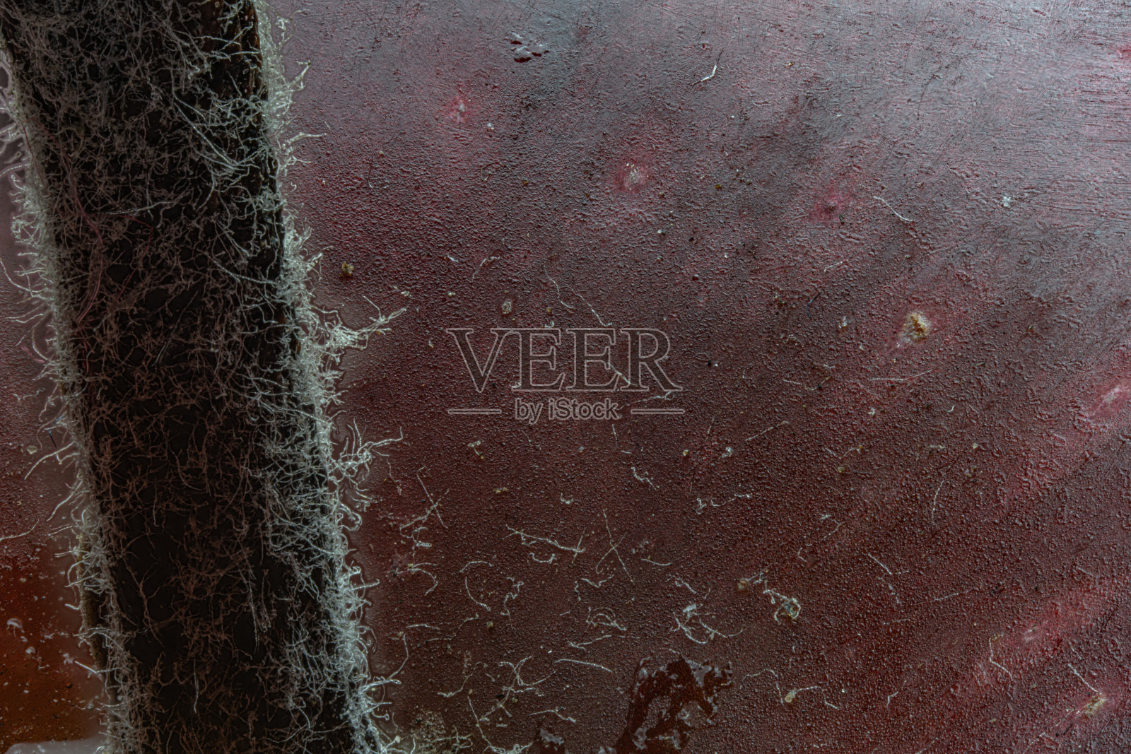 高分辨率苹果尾巴特写照片摄影图片