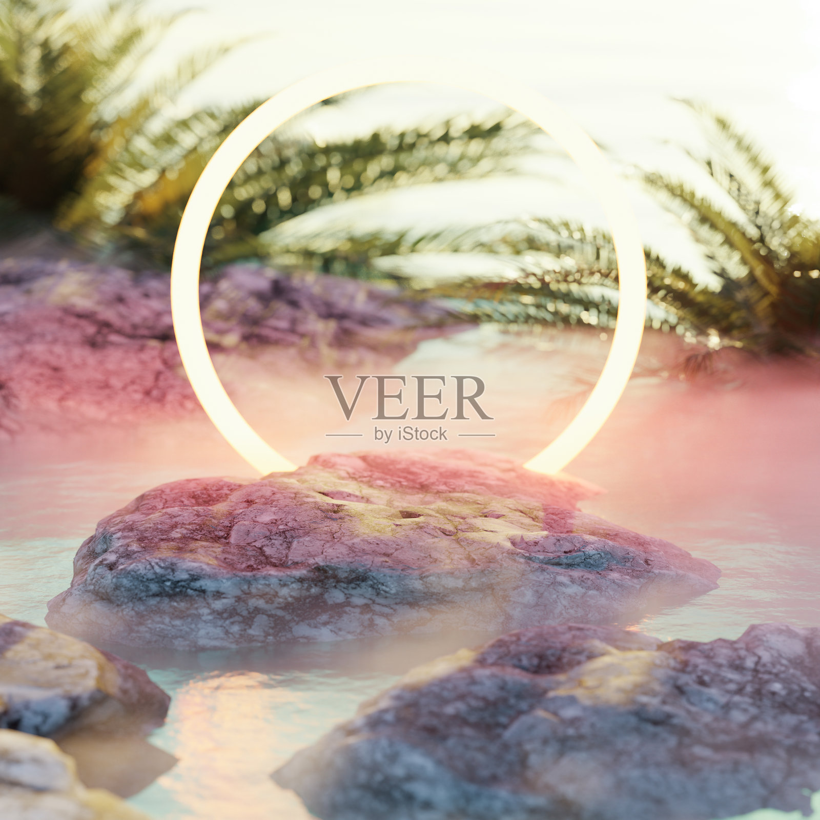 热带夏日场景，产品展示平台。3 d渲染。照片摄影图片