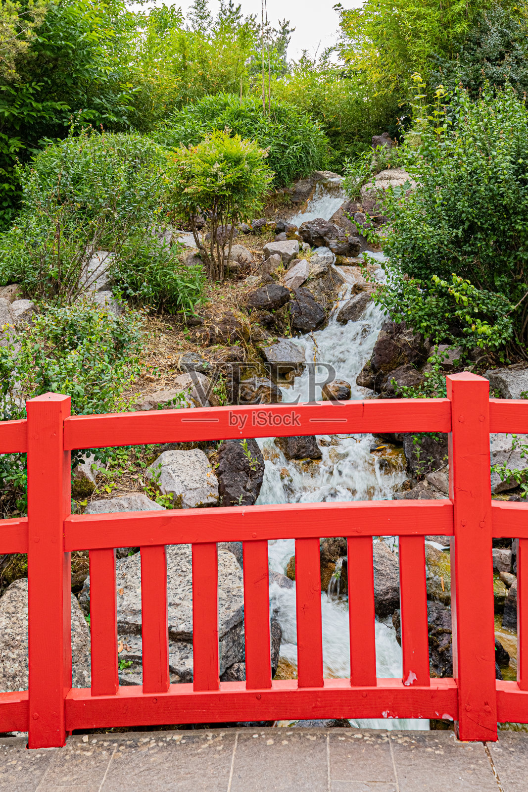 日本花园位于第戎。第戎夏天的日式花园。照片摄影图片