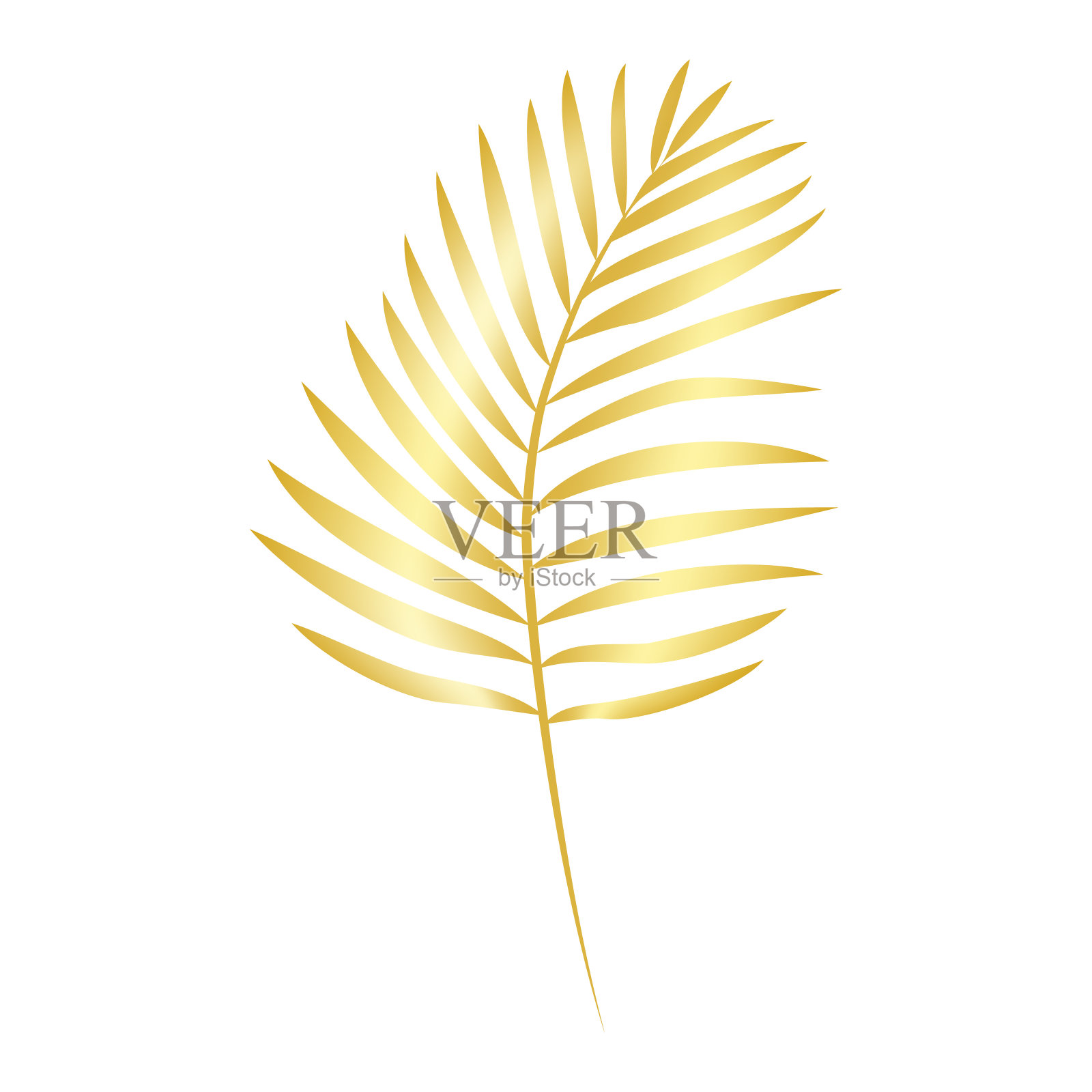 金色的棕榈枝。金色渐变的棕榈叶插画图片素材