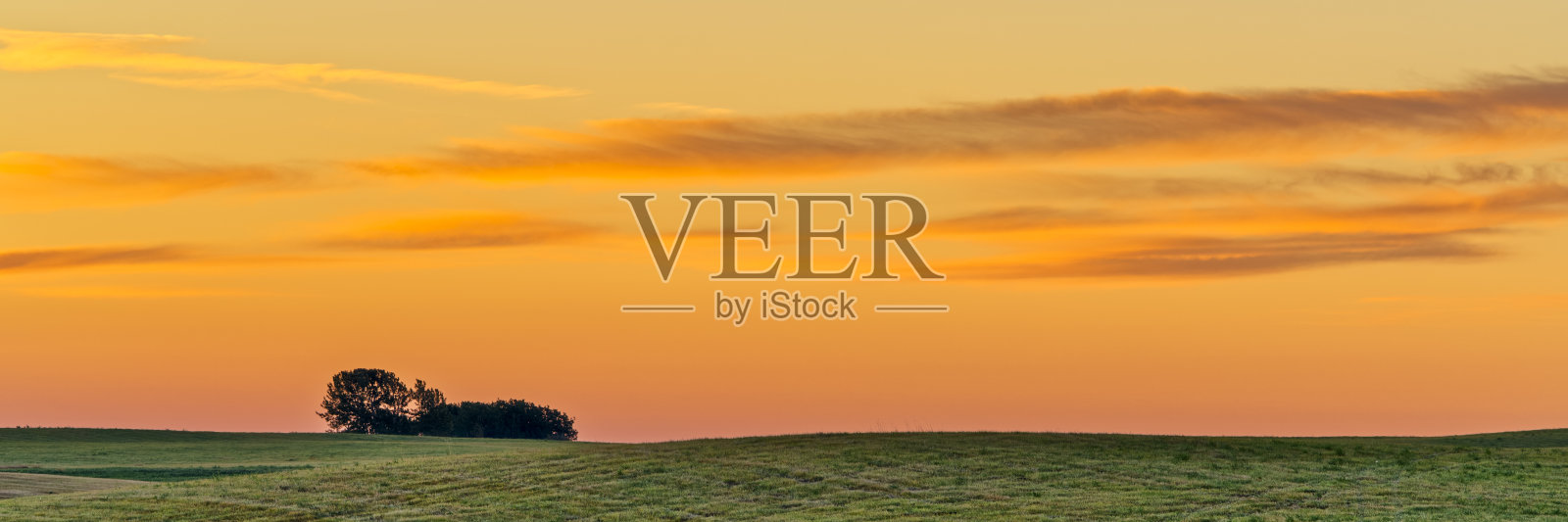 加拿大艾伯塔省乡村照片摄影图片